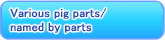 Various pig parts/named by parts